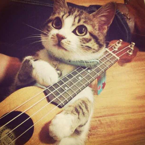 老女人和我一晚做了我七次
