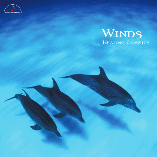 老女人和我一晚做了我七次
